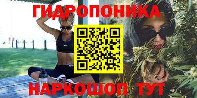 индика Краснокаменск