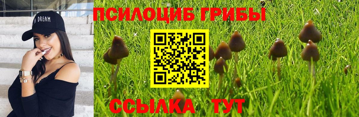 Галлюциногенные грибы прущие грибы Кировск