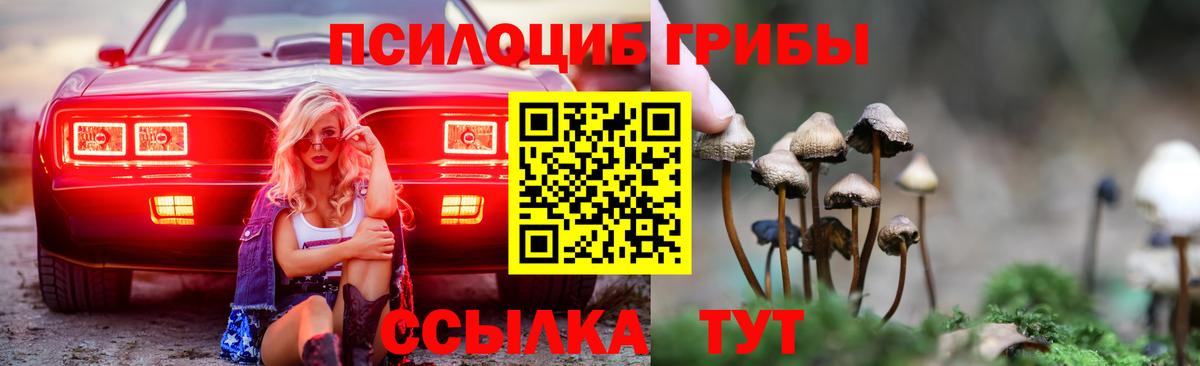 Кировск  Псилоцибиновые грибы мицелий  Вход с VPN 